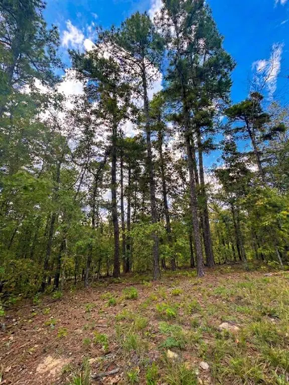1054 Carter Mountain TRL, Broken Bow, OK 74728