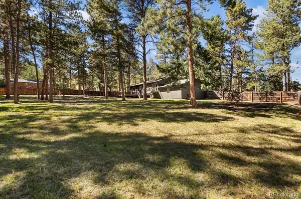 1005 W Lorraine AVE, Woodland Park, CO 80863