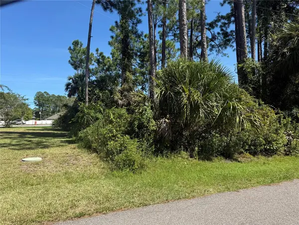 55 RYECLIFFE DR, Palm Coast, FL 32164