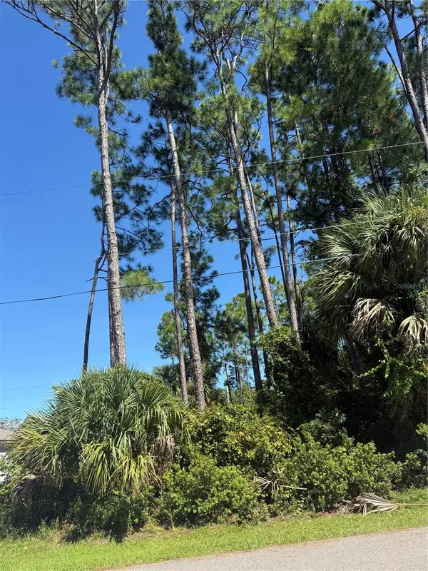 55 RYECLIFFE DR, Palm Coast, FL 32164