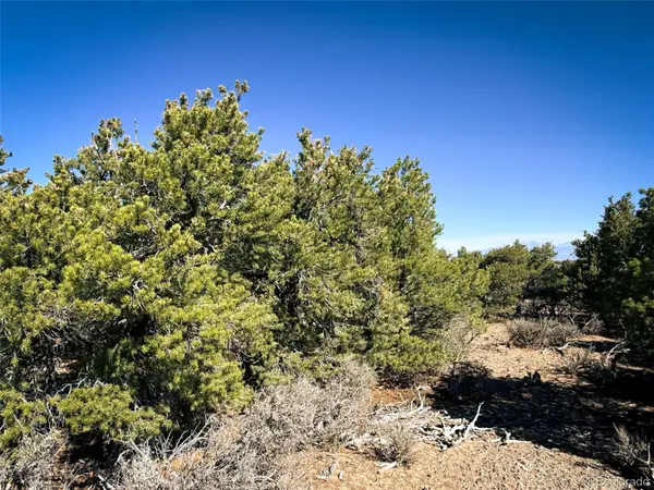 00 Overland WAY, San Luis, CO 81152