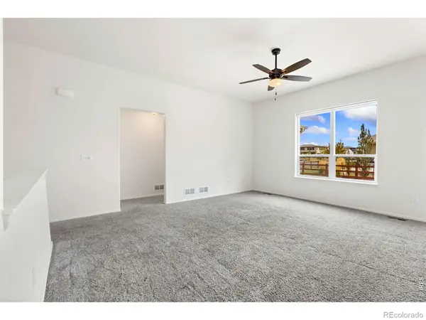 1723 Thrive DR, Windsor, CO 80550