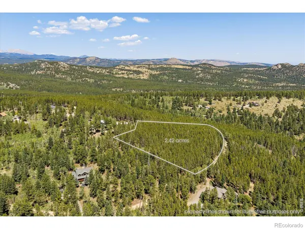0 Spruce WAY, Nederland, CO 80466