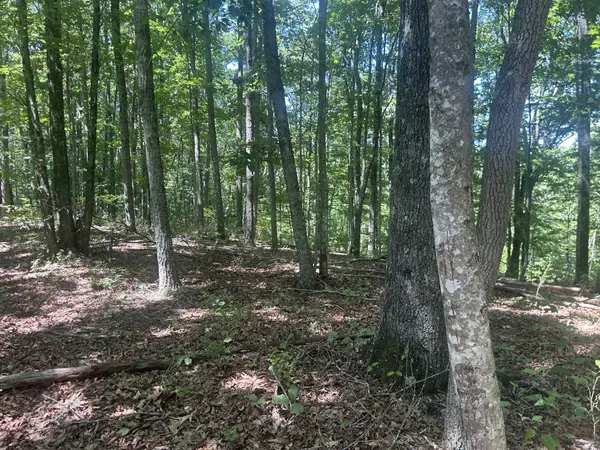 355 Partridge Trl, Grandview, TN 37337