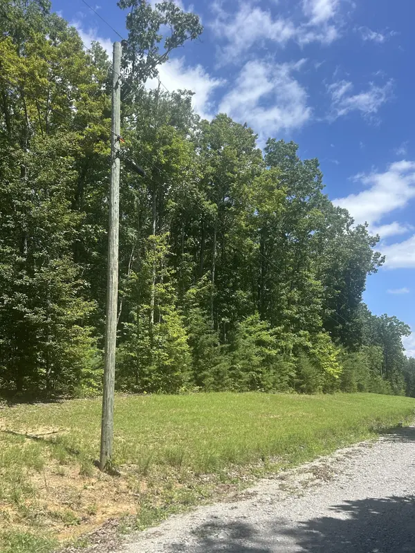 355 Partridge Trl, Grandview, TN 37337