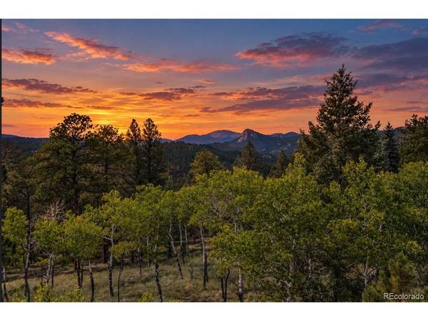 45336 S Elk Creek, Pine, CO 80470