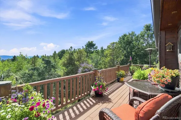 11016 Timothys DR, Conifer, CO 80433