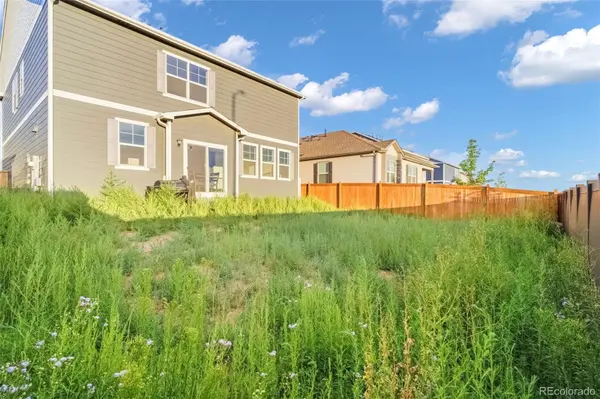 691 N Allium ST, Watkins, CO 80137