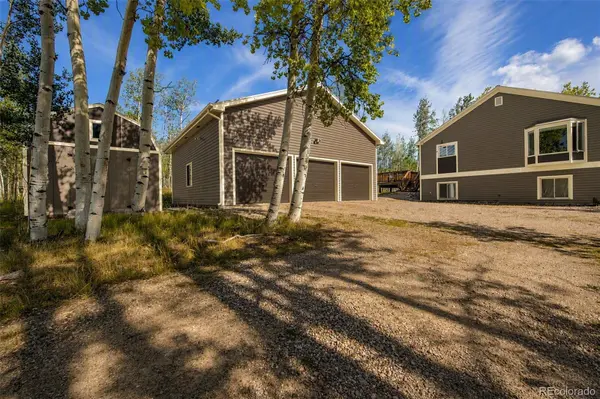 331 Canthook LN, Fairplay, CO 80440
