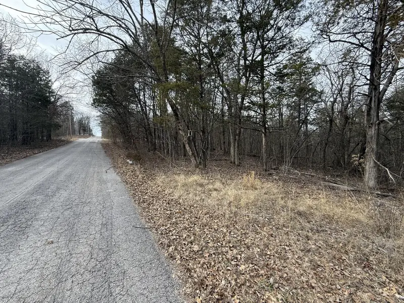130, 131 Turkey Mountain Estates #2, Abesville, MO 65656