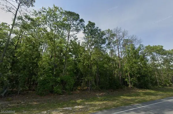NE HWY 351, Old Town, FL 32680