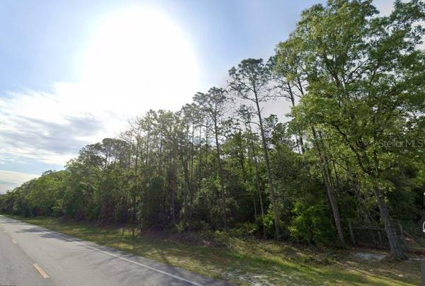 NE HWY 351, Old Town, FL 32680