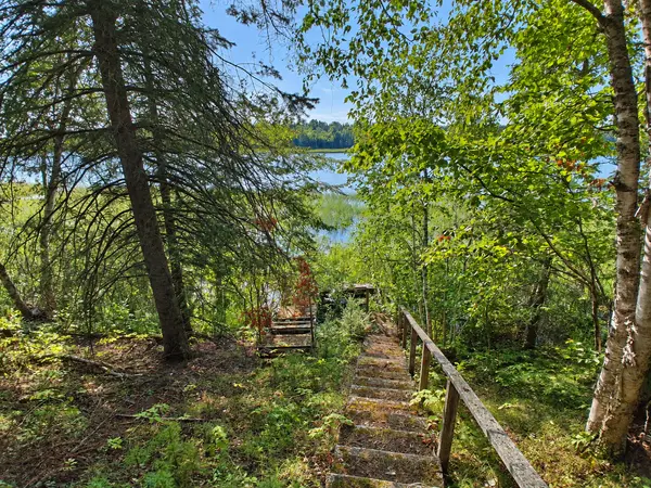 XXX County 95, Laporte, MN 56461