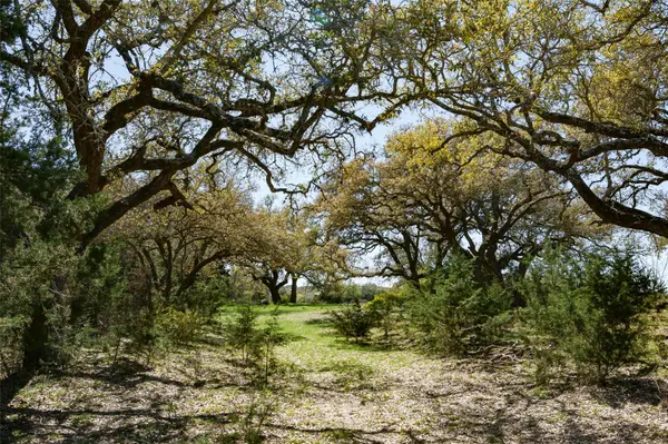 1440 Stone Ridge Mountain DR, Round Mountain, TX 78663