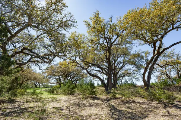 1440 Stone Ridge Mountain DR, Round Mountain, TX 78663