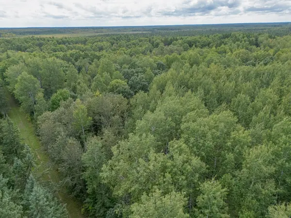 TBD Town Road #55, Big Falls, MN 56627