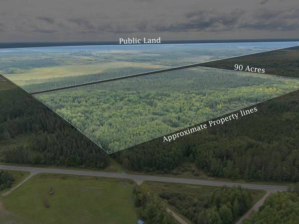 TBD Town Road #55, Big Falls, MN 56627