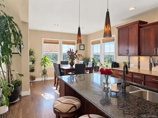 2586 Reserve ST, Erie, CO 80516