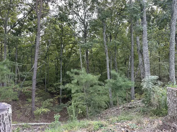 132 Eagle View Dr, Dover, TN 37058
