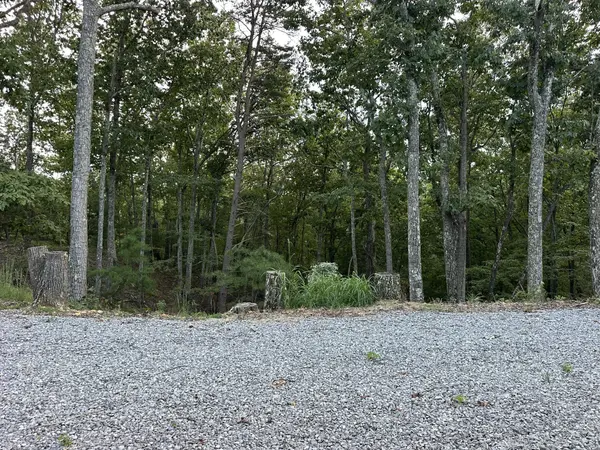132 Eagle View Dr, Dover, TN 37058