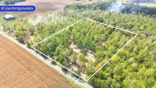 0 Johnson Rd, Westmoreland, TN 37186