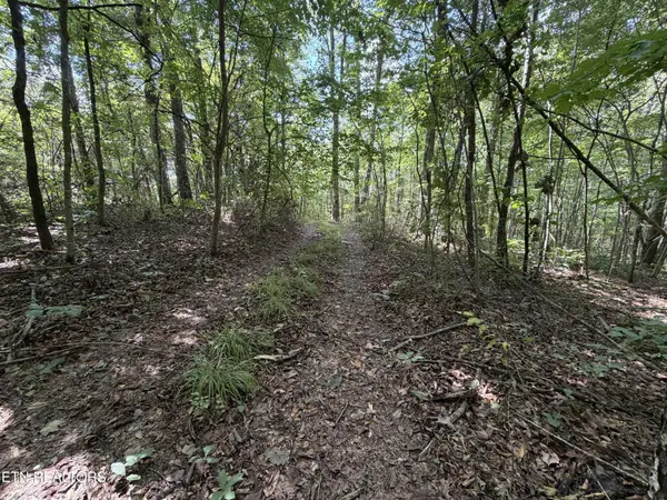 361 Long View Lane, Jamestown, TN 38556