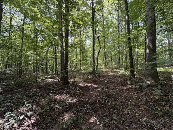 361 Long View Lane, Jamestown, TN 38556