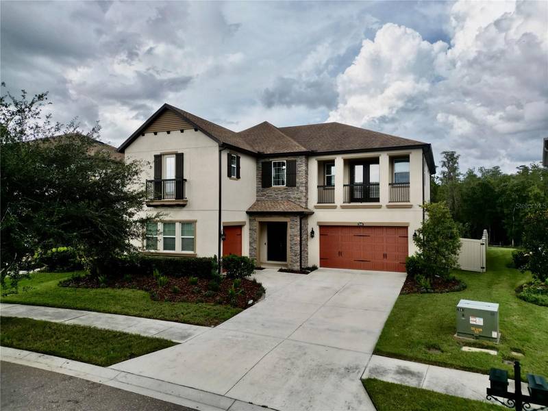 29404 PICANA LN, Wesley Chapel, FL 33543