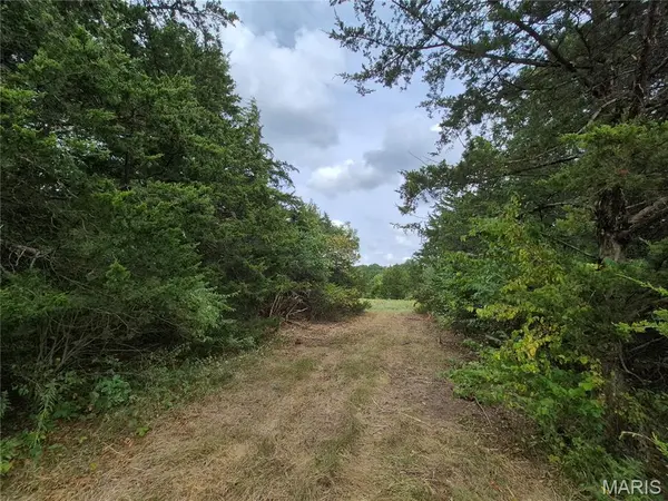 0 Russell Rd. (Tract 4 - 15+/- Acres), Troy, MO 63379