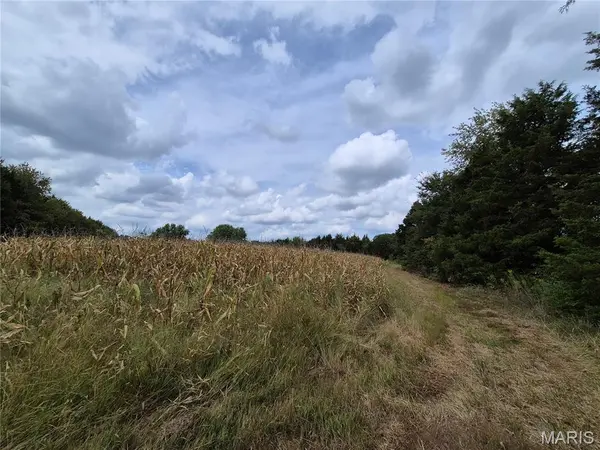 0 Russell Rd. (Tract 4 - 15+/- Acres), Troy, MO 63379