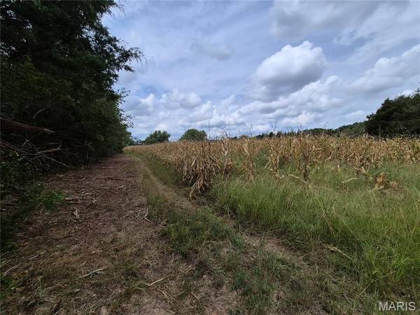 0 Russell Rd. (Tract 4 - 15+/- Acres), Troy, MO 63379