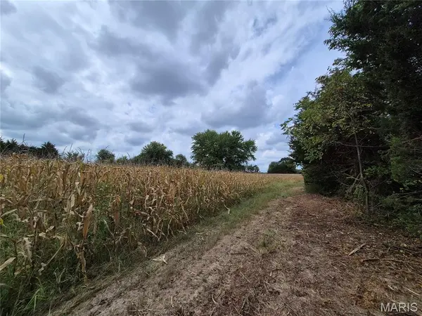 0 Russell Rd. (Tract 4 - 15+/- Acres), Troy, MO 63379