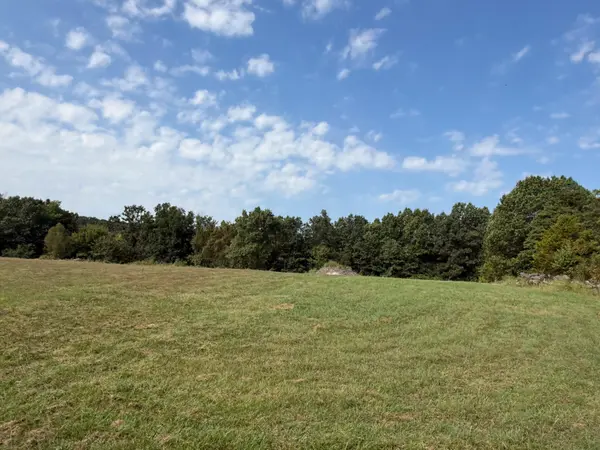 237 Forest View Dr, Seymour, MO 65746
