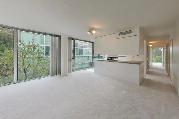 3115 S Michigan AVE #307, Chicago, IL 60616