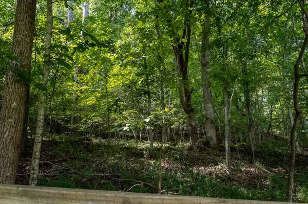 11644 Minor Hill Hwy, Goodspring, TN 38460