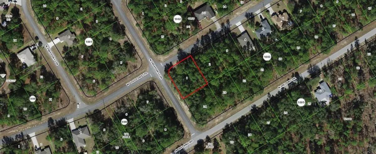 156 W GOLDCOAST PL, Citrus Springs, FL 34434