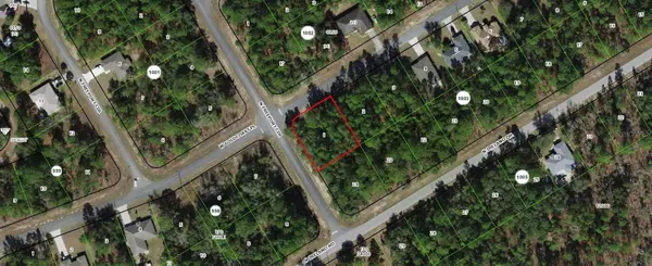 156 W GOLDCOAST PL, Citrus Springs, FL 34434