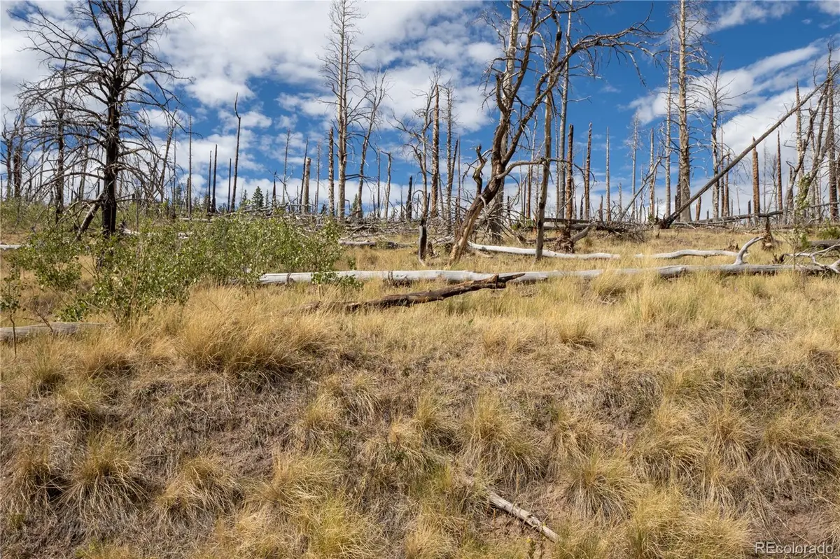 Lot 2748 Grojean DR, Fort Garland, CO 81133