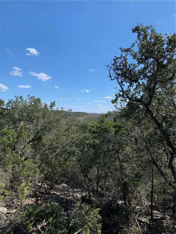 441 Cliffview CIR, Canyon Lake, TX 78133