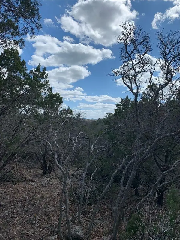 441 Cliffview CIR, Canyon Lake, TX 78133