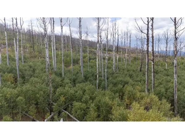1947 Hilda, Fort Garland, CO 81133