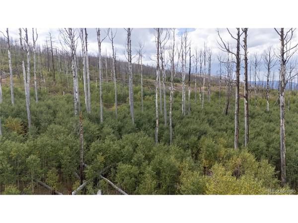 1947 Hilda, Fort Garland, CO 81133