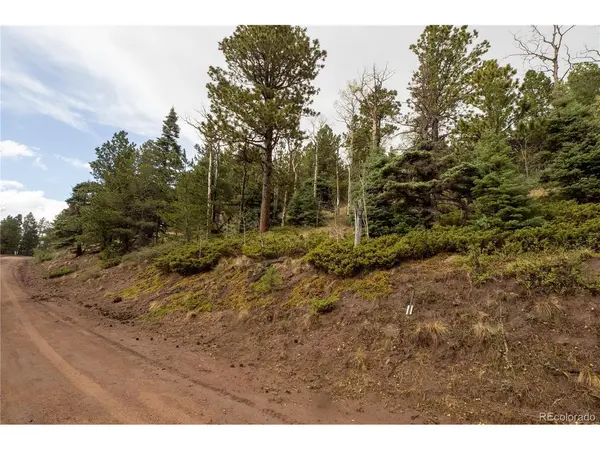2797 Moir, Fort Garland, CO 81133