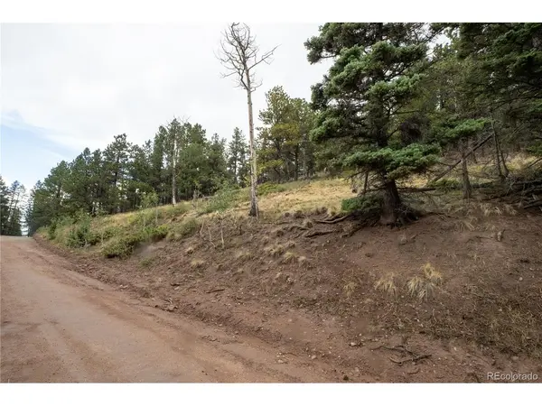 2797 Moir, Fort Garland, CO 81133
