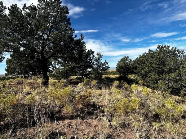 1411 W Badger, Crestone, CO 81131