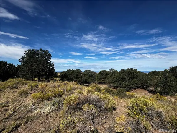 1411 W Badger, Crestone, CO 81131
