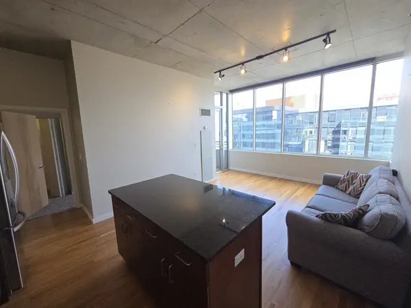1720 S Michigan AVE #1106, Chicago, IL 60616