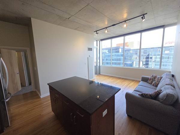 1720 S Michigan AVE #1106, Chicago, IL 60616