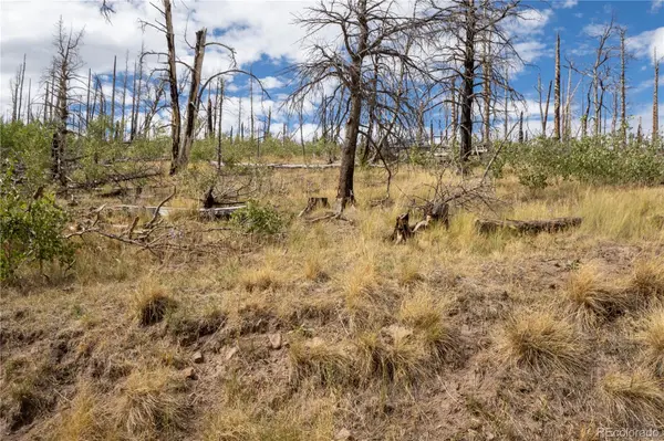 Lot 2748 Grojean DR, Fort Garland, CO 81133