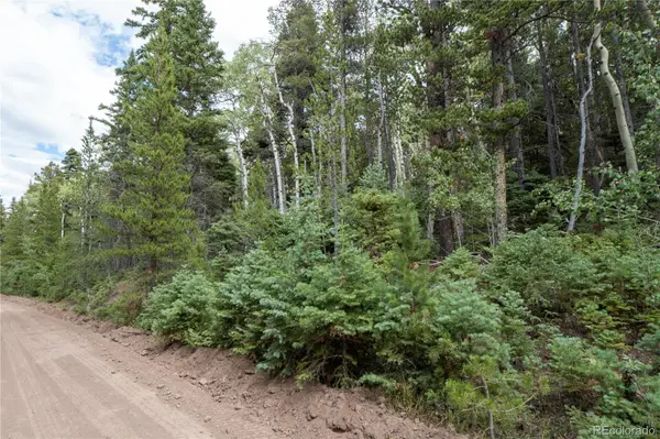 Lot 2238 Buonaventura LN, Fort Garland, CO 81133